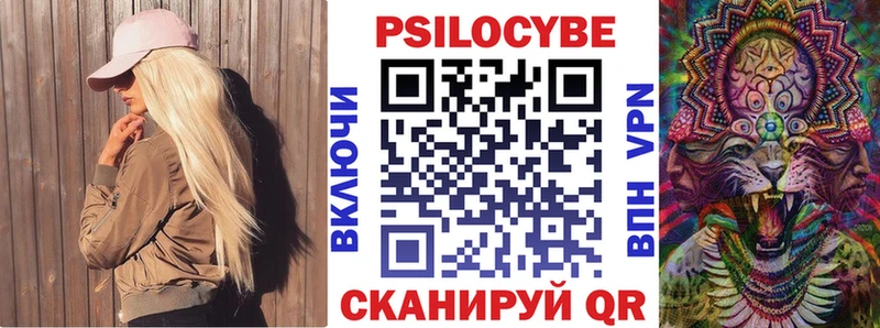 дарнет шоп  Венёв  Псилоцибиновые грибы Cubensis 